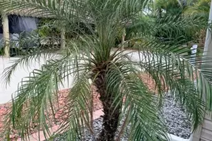 5471 Cypress Trail Resort Cir, Fort Myers, FL 33905 - Photo 47