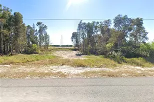 3128 Meadow Rd, Lehigh Acres, FL 33974 - Photo 1
