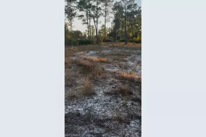 914 Grant Ave, Lehigh Acres, FL 33972 - Photo 5