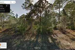 1118 Croquet St E, Lehigh Acres, FL 33974 - Photo 1