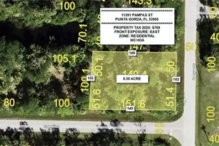 11391 Pampas St, Punta Gorda, FL 33955 - Photo 1