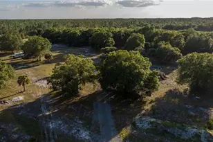 3880 Packinghouse Rd, Alva, FL 33920 - Photo 7