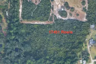17451 Rewis Rd, Alva, FL 33920 - Photo 1