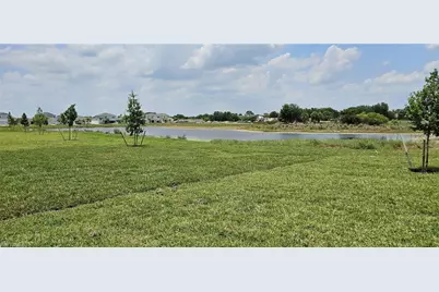 20190 Caroline Creek Pl, Lehigh Acres, FL 33974 - Photo 17