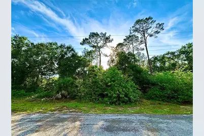 907 Fitch Ave, Lehigh Acres, FL 33972 - Photo 1
