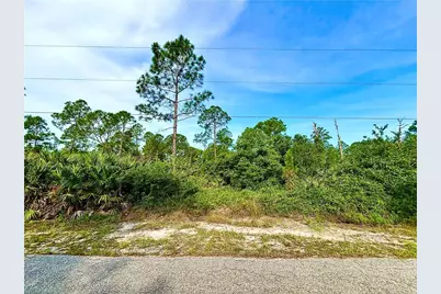 1313 Scott Ave, Lehigh Acres, FL 33972 - Photo 1