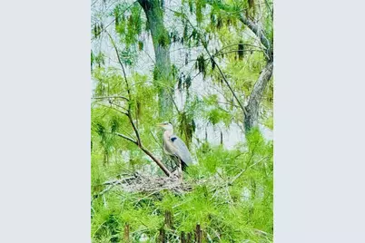 11202 Vitale Way, Fort Myers, FL 33913 - Photo 49