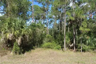 1667 Lake Ave, Lehigh Acres, FL 33972 - Photo 1
