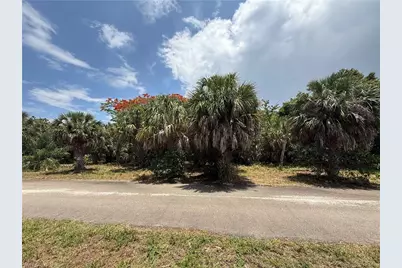 27815 Lime St, Bonita Springs, FL 34135 - Photo 5