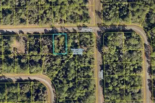 834 Harrison Schmitt Ter, Labelle, FL 33935 - Photo 1