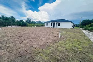 3010 55th St W, Lehigh Acres, FL 33971 - Photo 39