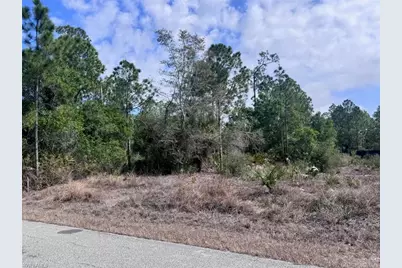 618 Leroy Ave, Lehigh Acres, FL 33972 - Photo 3