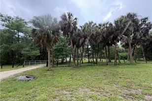 281 8th St SE, Naples, FL 34117 - Photo 3