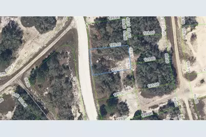 333 Wildwood Dr, Lake Placid, FL 33852 - Photo 1