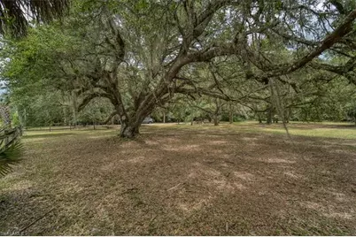 1205 Cr-830, Felda, FL 33930 - Photo 47