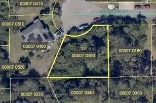 2905 Ashburn St, Lehigh Acres, FL 33972 - Photo 1