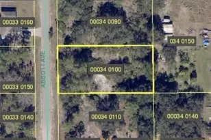 1004 Abbott Ave, Lehigh Acres, FL 33972 - Photo 1