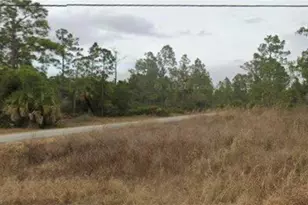 4101 E 23rd St, Alva, FL 33920 - Photo 1