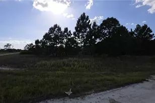 660 Muldoon Ave S, Lehigh Acres, FL 33974 - Photo 1