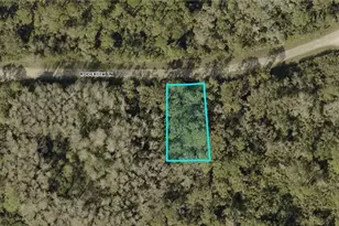 1932 Roderick Ln, Lehigh Acres, FL 33972 - Photo 1