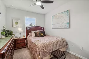 20691 Plumwood Loop, North Fort Myers, FL 33917 - Photo 21