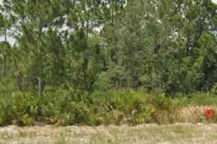 3011 W Dixon Rd, Avon Park, FL 33825 - Photo 1