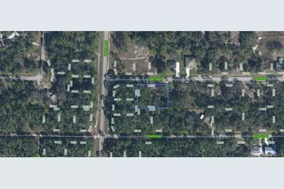 3154 Carlton Ave, Lake Placid, FL 33852 - Photo 1