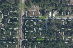 3154 Carlton Ave, Lake Placid, FL 33852 - Photo 1
