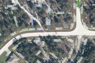 3324 Gossamer Ave, Lake Placid, FL 33852 - Photo 1