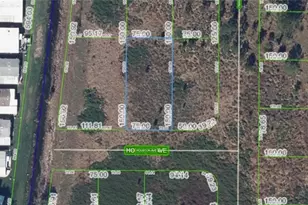 502 Houston Ave, Lake Placid, FL 33852 - Photo 1