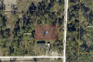 21-19-27-0100-000-20800 Sunrise Blvd, Mount Dora, FL 32757 - Photo 1