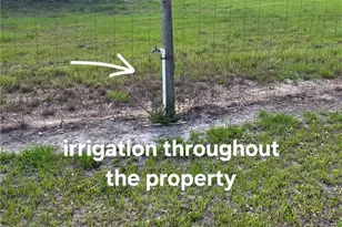 13312 Tangelo Ave, Clewiston, FL 33440 - Photo 15