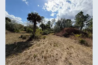 49337 Bermont Rd, Punta Gorda, FL 33982 - Photo 3