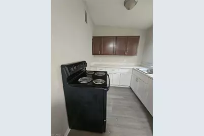 3022 Guava St, Fort Myers, FL 33916 - Photo 3