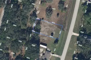 346 Washington Blvd, Lake Placid, FL 33852 - Photo 1