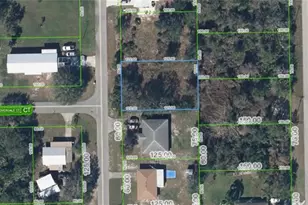1645 Cedarbrook St, Lake Placid, FL 33852 - Photo 1