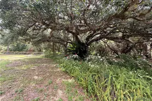 18251 Persimmon Ridge Rd, Alva, FL 33920 - Photo 1