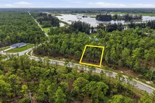 305 Woodburn Dr, Lehigh Acres, FL 33972 - Photo 1