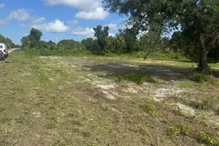 4239 E 29th St, Alva, FL 33920 - Photo 1