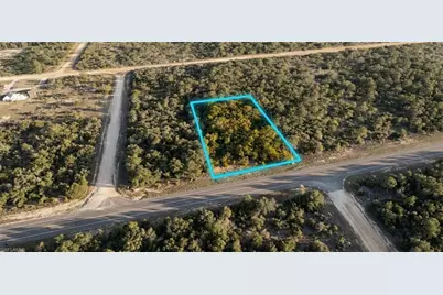 02-2N-11-0083-00P0-0310 Fairview Rd, Alford, FL 32420 - Photo 7