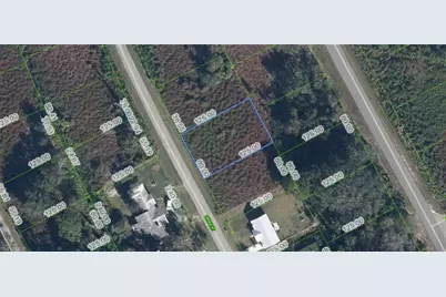 1025 Oriole St, Lake Placid, FL 33852 - Photo 1