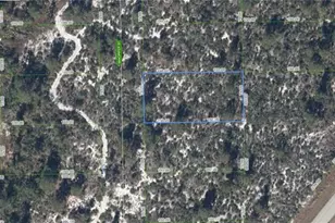 239 Sandpiper St, Lake Placid, FL 33852 - Photo 1