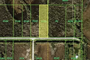 33840 Oil Well Rd, Punta Gorda, FL 33955 - Photo 1