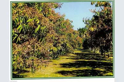 [Address not provided], Bokeelia, FL 33922 - Photo 5