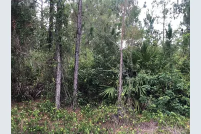 815 State Ave, Lehigh Acres, FL 33972 - Photo 1