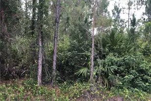 815 State Ave, Lehigh Acres, FL 33972 - Photo 1
