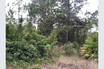 815 State Ave, Lehigh Acres, FL 33972 - Photo 3