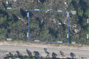 3427 Bluebird Ave, Lake Placid, FL 33852 - Photo 1