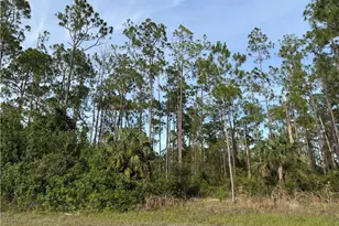 2202 Truman Ave, Alva, FL 33920 - Photo 1