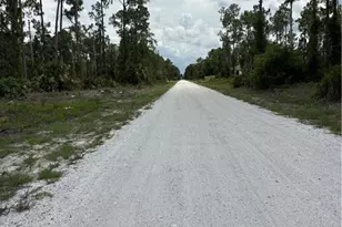 1122 Johns Ave, Lehigh Acres, FL 33972 - Photo 1